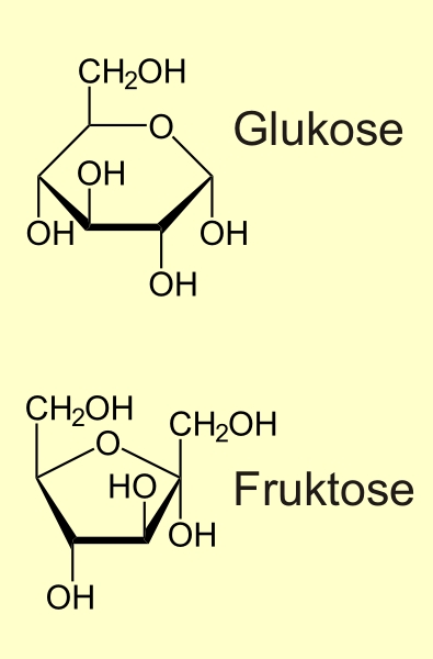 <i>Monosaccharide</i>: <i>Glukose</i> und <i>Fruktose</i>